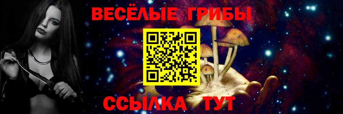 Галлюциногенные грибы Magic Shrooms  Вход с VPN  Волжский 