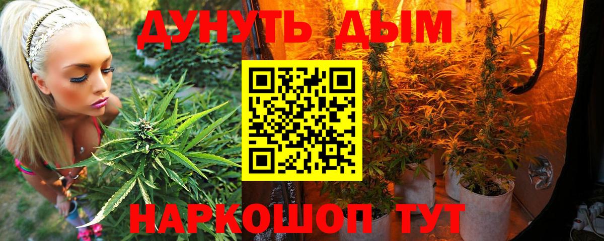 Марихуана гибрид Волжский